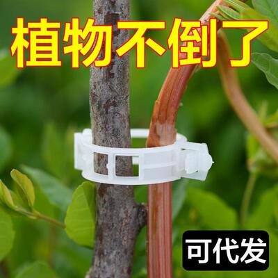 Plant clips for vines and branches, including plastic bindin