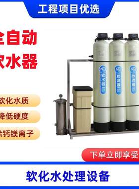 全自动软水机锅炉软水过滤器去除水垢钠离子交换器软化水设备商用