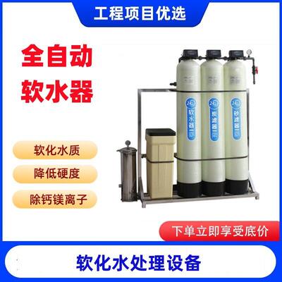 全自动软水机锅炉软水过滤器去除水垢钠离子交换器软化水设备商用