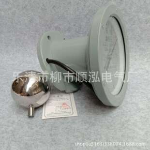 YZF2 油位计YZF2 140TH变压器油位计 变压器 油浸式 250 200TH