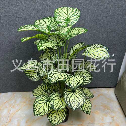 temu1.4米36头仿真绿植绿萝龟背竹海芋北欧风客厅装饰
