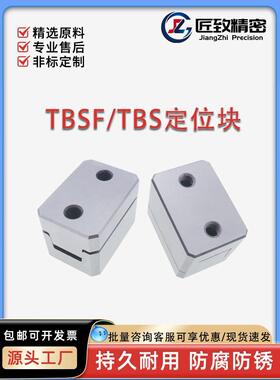 日标TBSF/TBS精定位块组件 模具边锁 平面锁直身辅助器定位滑块