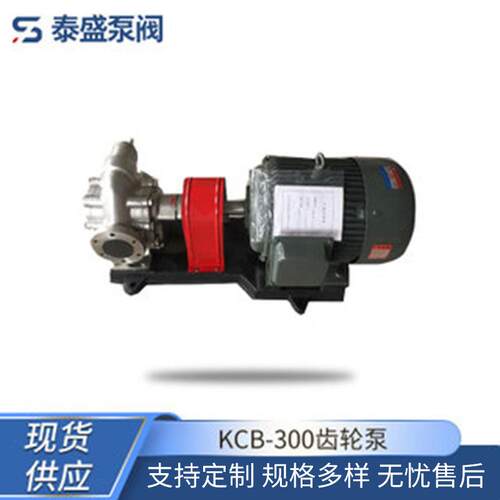 河北厂家供应CB-300齿轮泵大流量铸铁双向齿轮泵小型油泵高压