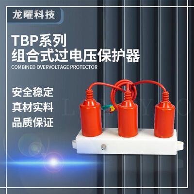 高压10KV三相过电压保护器TBP-B-12.7/N/131三柱四柱柜内带计数器