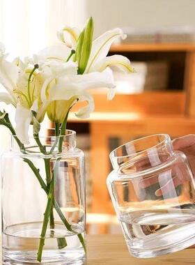 花瓶摆件客厅插花玻璃轻奢高级感透明复古餐桌矮水培玫瑰大肚宽口