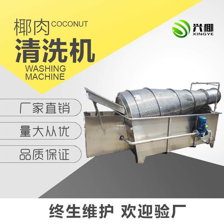 厂家供应椰肉清洗机果蔬加工设备果蔬清洗机