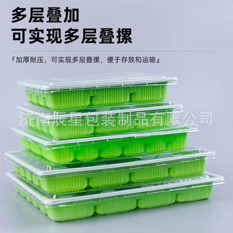 新款直销一次性饺子盒加厚透明速冻水饺盒子带盖熟水饺托盘外卖打