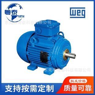 巴西WEG万高电机W20W21W22系列立式/卧式三相异步电动机