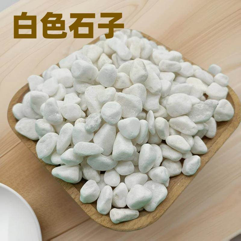 小白石子白色鹅卵石砾石白色雨花石园林铺路水族造景雪花白鹅卵石