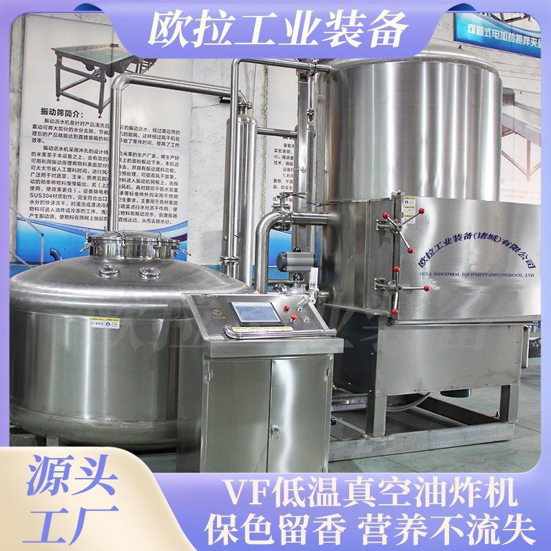 牛肉干猪肉脯低温真空油炸机 大型香蕉脆榴莲脆真空低脱水设备