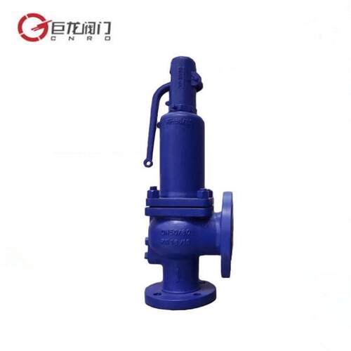 巨龙阀门不锈钢德标波纹管安全阀HFA42Y-16C弹簧封闭式泄压阀