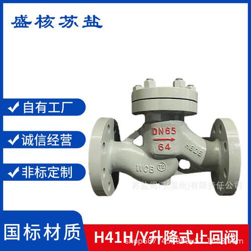 H41H/Y-16C国标铸钢碳钢卧式法兰止回阀升降式蒸汽逆止阀单向阀门