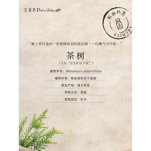正品汇美舍有机茶树护精油 澳大利亚进 痘祛控口油面部肤按摩单方