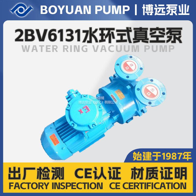 2BV6131防爆水环真空泵6.66m³/min化工矿山工业级隔爆型真空设备