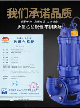 铸铁防爆潜污泵 带切割380V潜水泵 220V自动搅匀防爆排污泵巨霖