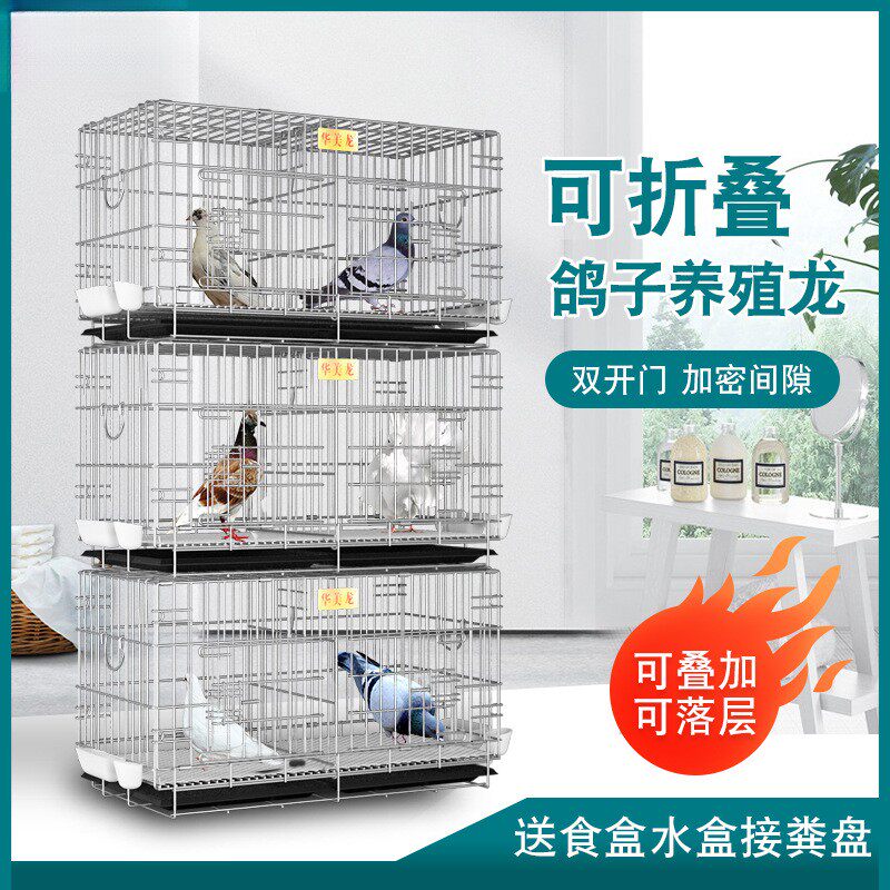 鸽子喜鹊专用笼子加密双层两层新款鸟笼大号家用信鸽繁殖笼鸽子笼