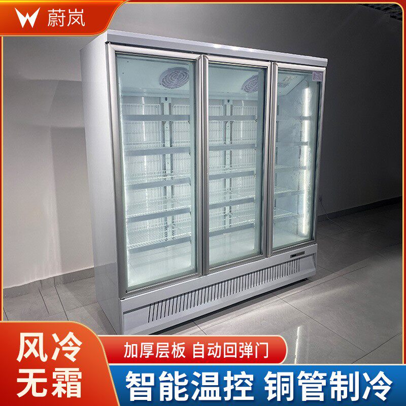 水立式冻柜超865市单门冰柜肉制品双冰箱便利店商用饺冷汤圆速冻