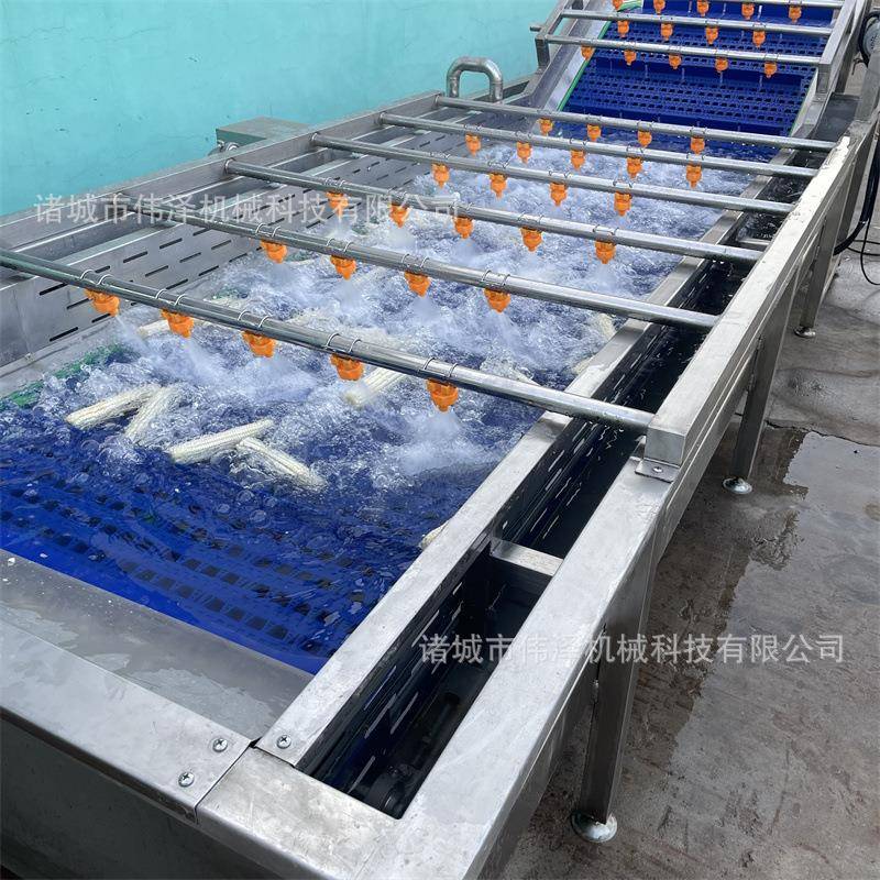 梅干菜果蔬气泡清洗机荠菜山野菜气泡清洗机 商用辣椒气泡清洗机