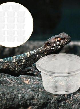 20 Pcs Crested Reptile Water Box Animal Feeder Cups