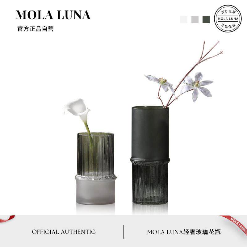 MOLALUNA.Reside.花瓶家用北欧风磨砂直筒玻璃摆件插花器 | 居无