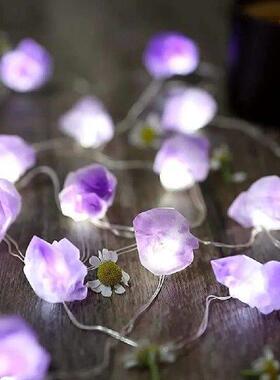 30 Head White Light String Amethyst Crystal Operated