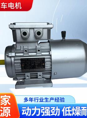 现货供应调速电机微型减速电机5I60GN-C刹车电机阻尼电机60W