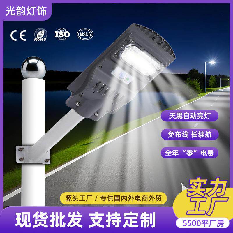 跨境户外太阳能路灯新款照明人体感应草坪庭院灯带遥控防水花园灯