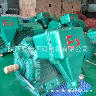 防爆等级ExdIIBT4泰富西玛YBX2系列YBX2 6710KW10KV高压 5601