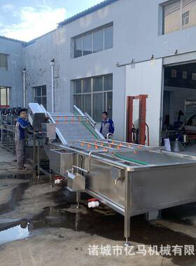 全自动果蔬清洗机蓝莓粽叶清洗设备预制菜气泡清洗机洗菜机