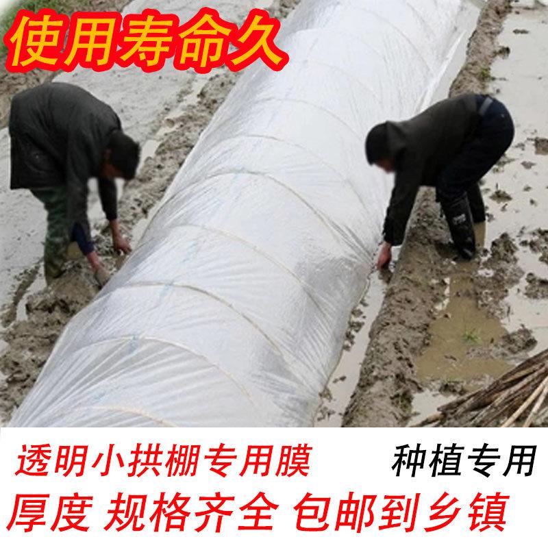 白色塑料薄膜小拱棚膜保温蔬菜大棚膜地膜防水塑料薄膜公路防护膜