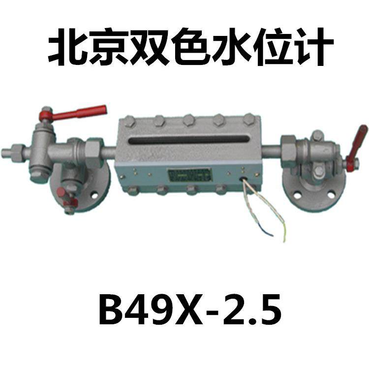 锅炉专用双色水位计 B49X2.5 透反射式双色水位计 锅炉双色液位计