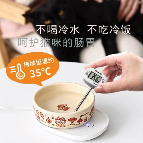 猫咪恒温加热饮水机 可爱卡通龙年新款暴富猫咪水碗陶瓷碗猫饭碗