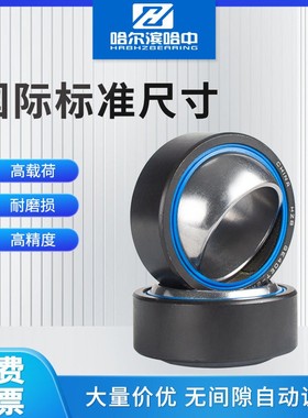 哈尔滨关节轴承GE60 70 80 90 100 110 120 140 ET-2RS自润滑向心