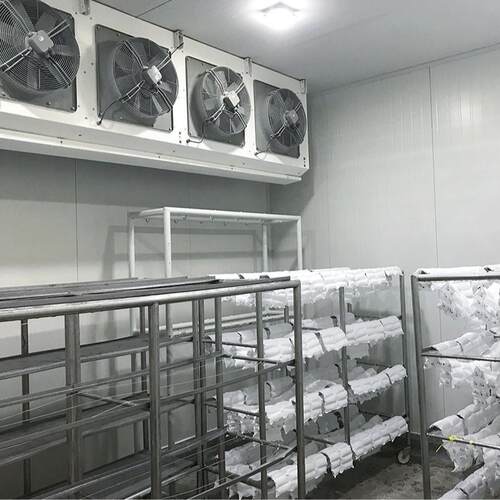厂家直供食品速冻生产线烘焙冷冻面团肉类加工高效速冻设备