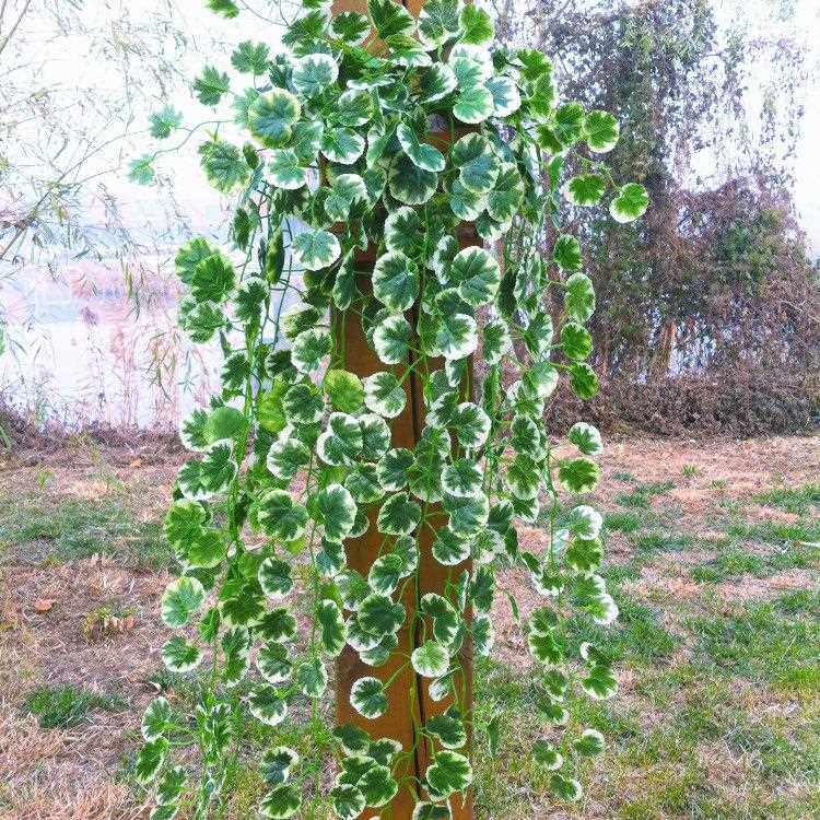 新款直销仿真爬山虎绿萝绿叶壁挂 假藤条藤蔓植物