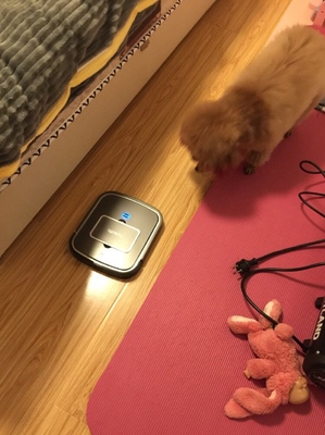 石头T4与致洁V101哪个好，哪款质量好，价格合理？