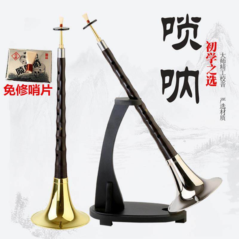 包邮乐器全套 黑檀乌木D唢呐 初学者d调锁呐 送哨盒 芯子