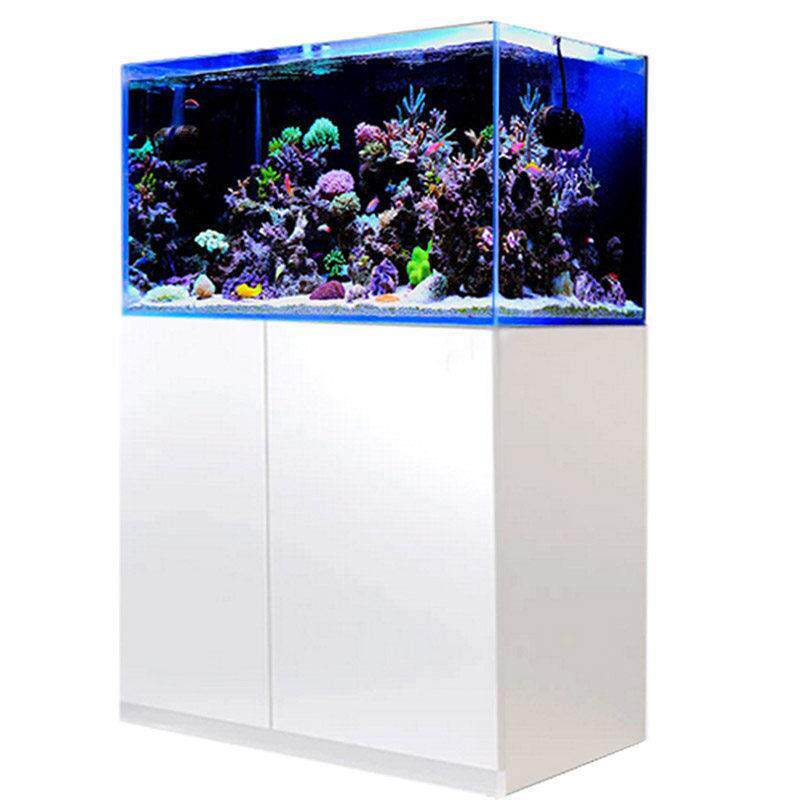 彷红海海水鱼缸珊瑚60CM底滤超白玻璃底柜客厅水族箱屏风定制静音