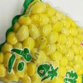 包邮 新鲜白果银杏果去壳白果大约500g 袋保鲜银杏仁非即食白果仁