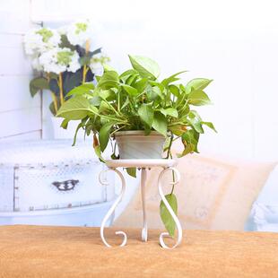 欧式铁艺花架办公桌面创意置物架室内客厅多肉花盆架子绿植