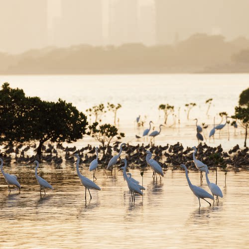 从你我做起，守护共同的湿地家园