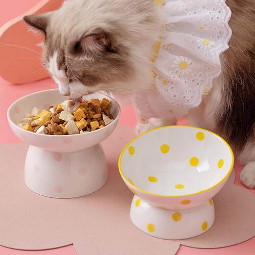赫本风圆点猫碗陶瓷高脚护脊椎宠物碗斜口猫盆易清洗陶瓷宠物食盆