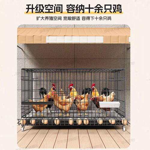 折叠养殖笼鸡笼子家用养鸡笼大号特大号自动清粪鸡舍铁丝网鸭鹅笼