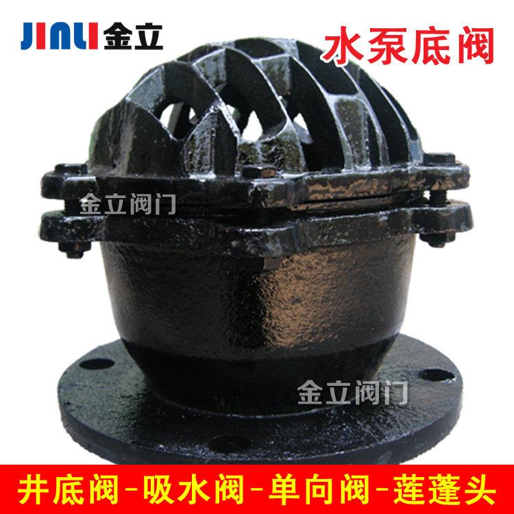 H42X-10法兰底阀止回阀抽水泵吸水底阀DN50 65 80 100 150 200