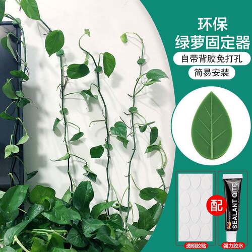 绿叶款绿萝绿植爬墙固定无痕家用室内藤蔓植物挂钩收纳整理理线器
