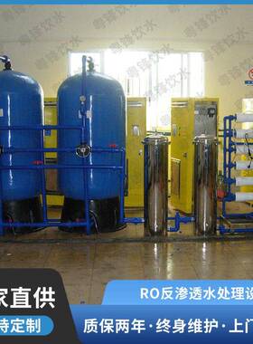 定制RO反渗透纯水处理设备1吨商用净水器去离子机2吨水处理设备
