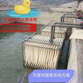 MBR带膜组件帘膜式 br中空纤维超滤膜污水组件内衬污水排00放m平板