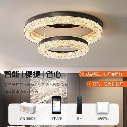 2025新款感意式轻奢客厅主灯现代简约吸顶灯具全屋套餐组合