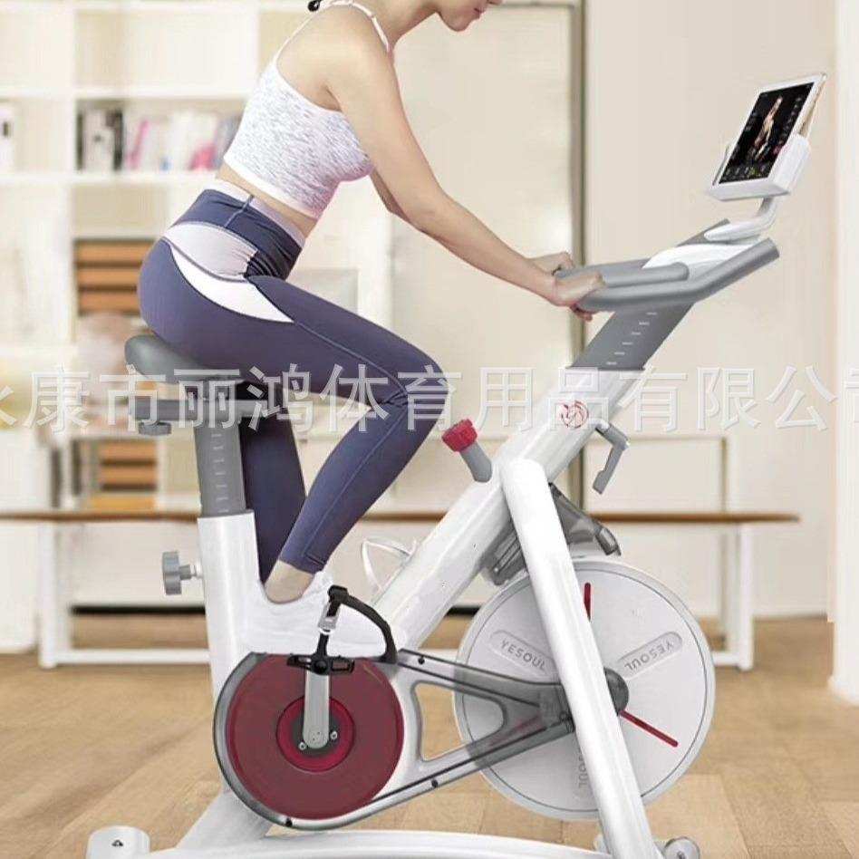 动感单车家用智能静音磁控健身减肥燃脂室内运动健身器材