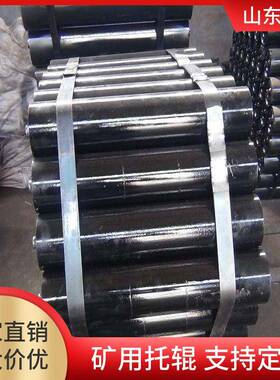 聚氨酯包胶托辊非金属托辊Φ133托辊尼龙材质Φ76托辊